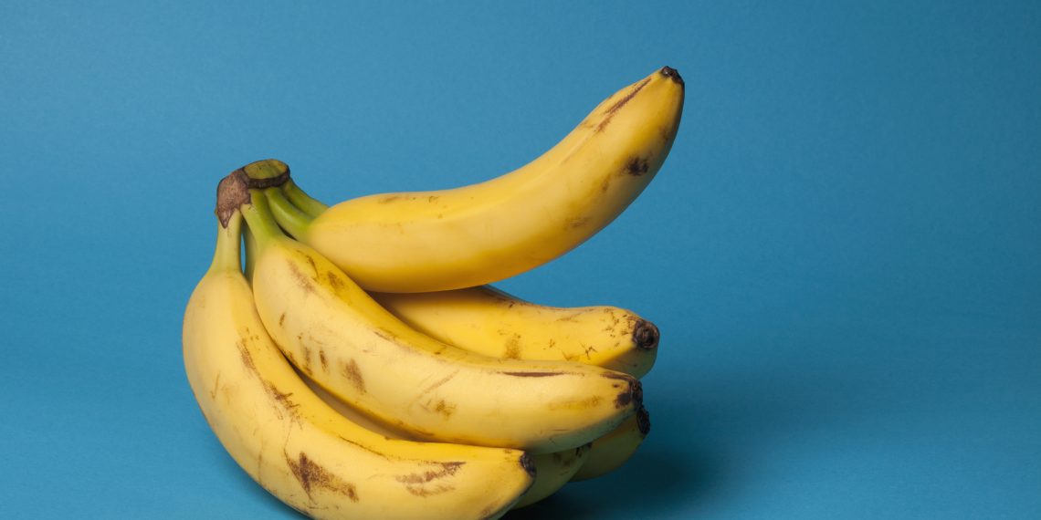 Эмне үчүн эртең менен жыныс мүчө тик туруп калат?