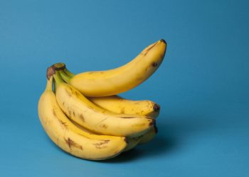 Эмне үчүн эртең менен жыныс мүчө тик туруп калат?