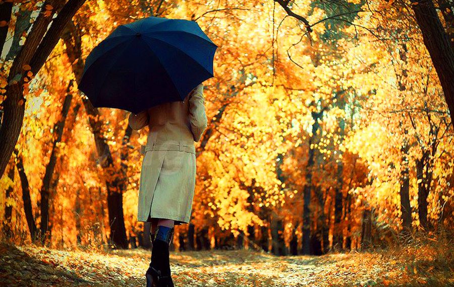 Жигитим тойдон кийин дароо ажырашабыз деп көңүлүмдү оорутту