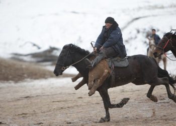 Көк бөрүдө улактан башка кайсы малды тартышат? Оюн тууралуу кызыктуу тест
