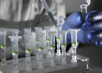 Кайын энем небересинин ДНК анализин тапшыргын деп талап кылып жатат