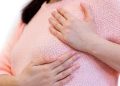 Мастит деген эмне? Себеби