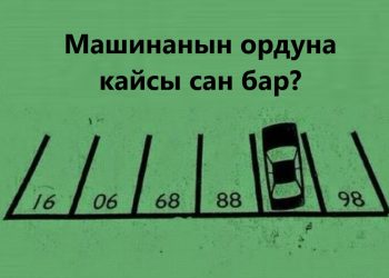 Бул суроолорго акылдуулар гана жооп бере алат. Тесттен өтүп көрүңүз