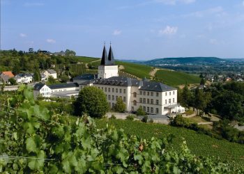 Германияда окуган студент: визаны узартууга 15 эле мүнөтүм кеткен