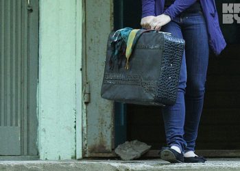 Атам каза болгондо апамды кууп чыккан кайын-журту менен кантип соттошсок болот?