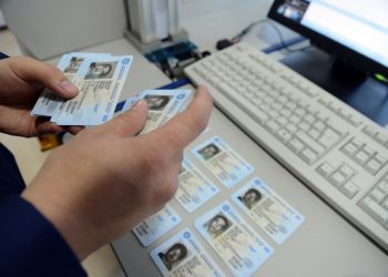 Паспорт столуна барып