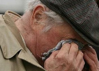 Атам мени үйлөндүрөм деп саткан жылкысын төлөп бер деди