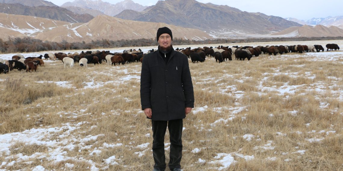 40 койдун башын 400гө чейин жеткирген фермердин ийгилик сыры