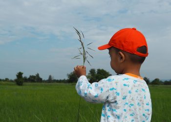 Баламдын жумурткасы калтасынан өйдө көтөрүлүп калыптыр. Эч нерсе болбойбу?
