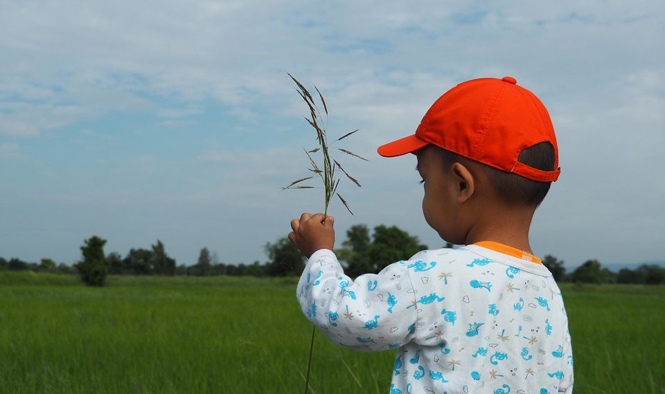 Баламдын жумурткасы калтасынан өйдө көтөрүлүп калыптыр. Эч нерсе болбойбу?