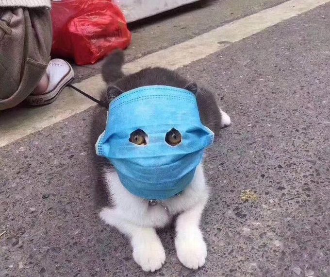 Коронавирустан сактануу эрежелерин билбей уят болбойсузбу? Тесттен өтүңүз