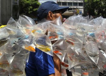 Атам жокто апамды сүйгөн байке келип балык таштап кетчү