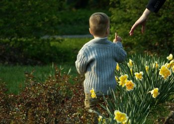 Күйөөм беш жылдан бери алимент төлөбөй жатат