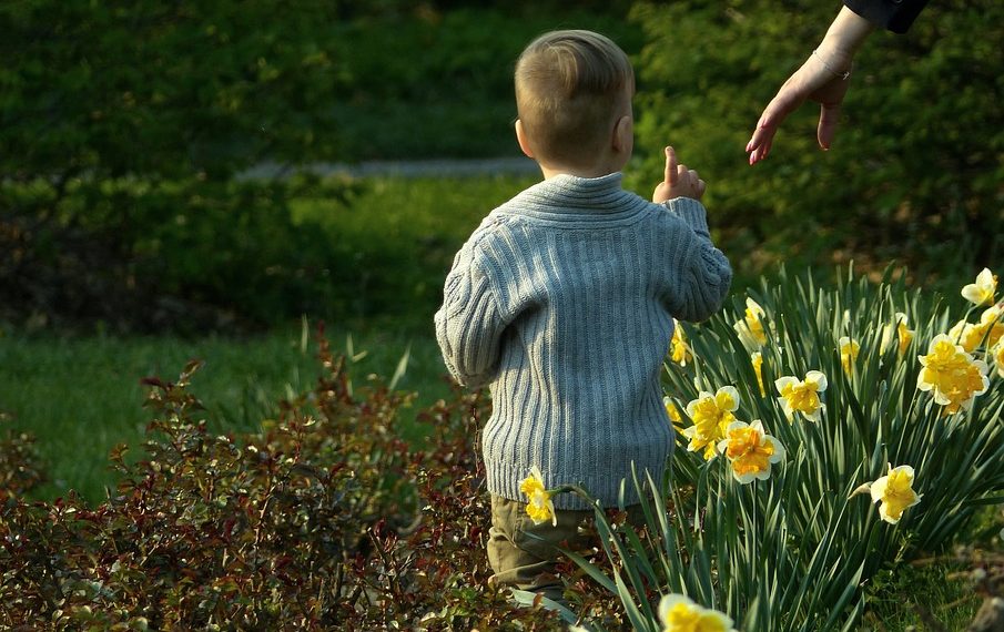 Күйөөм беш жылдан бери алимент төлөбөй жатат