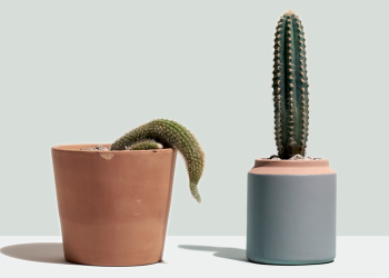 Мастурбация көп кылса жыныс мүчө өспөй калабы? Уролог жооп берет