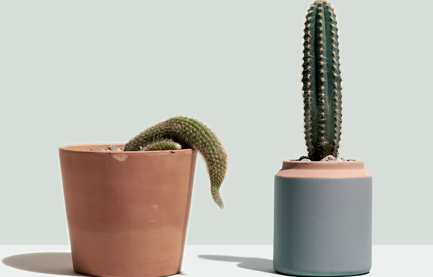 Мастурбация көп кылса жыныс мүчө өспөй калабы? Уролог жооп берет