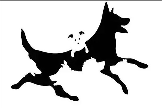 Сүрөттө канча ит бар экенин акылдуу адам гана көрө алат. Тесттен өтүңүз