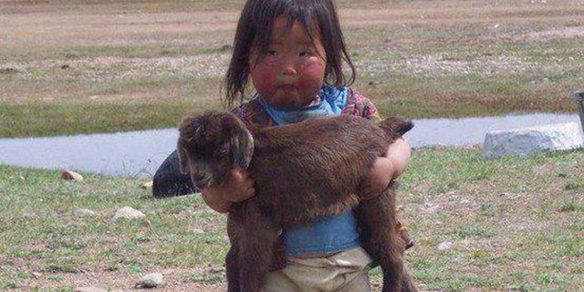 Кызым автобустан "фу