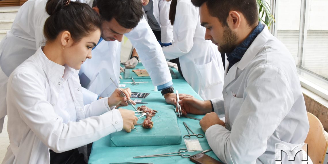 Гинеколог болуш үчүн канча жыл окуш керек? Гинеколог жооп берет