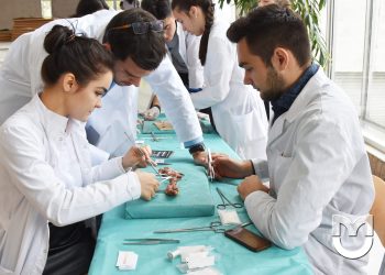 Гинеколог болуш үчүн канча жыл окуш керек? Гинеколог жооп берет