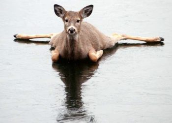 Кышта бут кийим тайгаланса эмне кылуу керек? Пайдалуу кеңештер