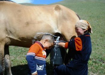 Караңгыда ышкырса эмне болот? Мен билем десеңиз