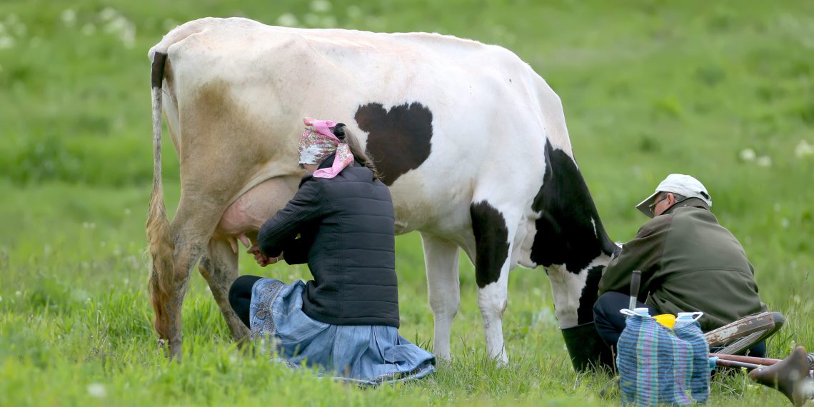 Таң атпай туруп уйун саайм