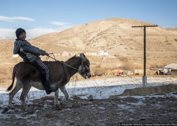 Эшек кыйкырса апабыз урушпасын деп эмне кылчубуз? Бала кездеги ырымдар тести