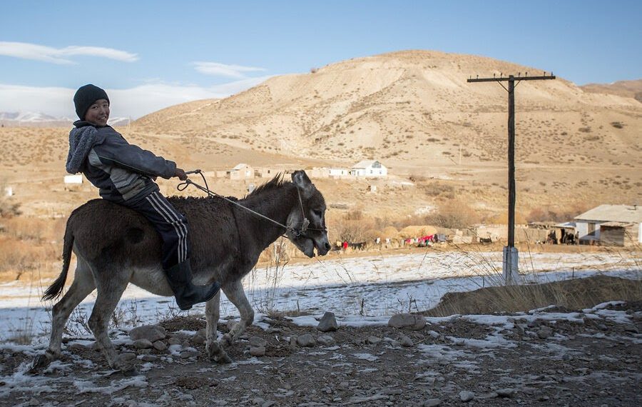 Эшек кыйкырса апабыз урушпасын деп эмне кылчубуз? Бала кездеги ырымдар тести