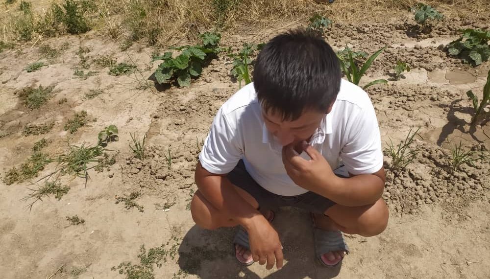 Бажам мага канын берем деп айылдан шаарга чейин жылаңаяк келиптир