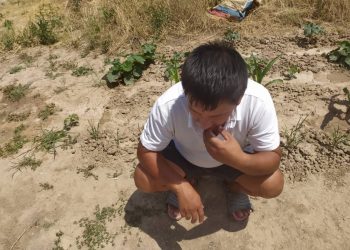 Бажам мага канын берем деп айылдан шаарга чейин жылаңаяк келиптир