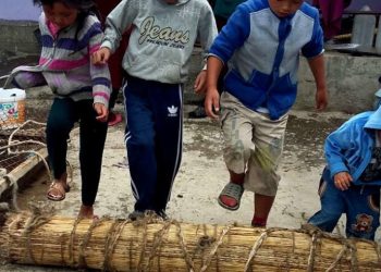 Жүндү кандай сууга жуубайт? Кийиздин жасалышын билем десеңиз