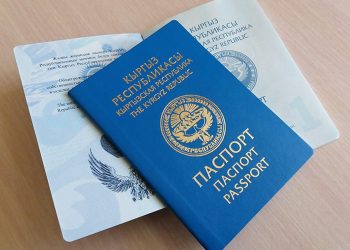 Аялым башка өлкөнүн жараны