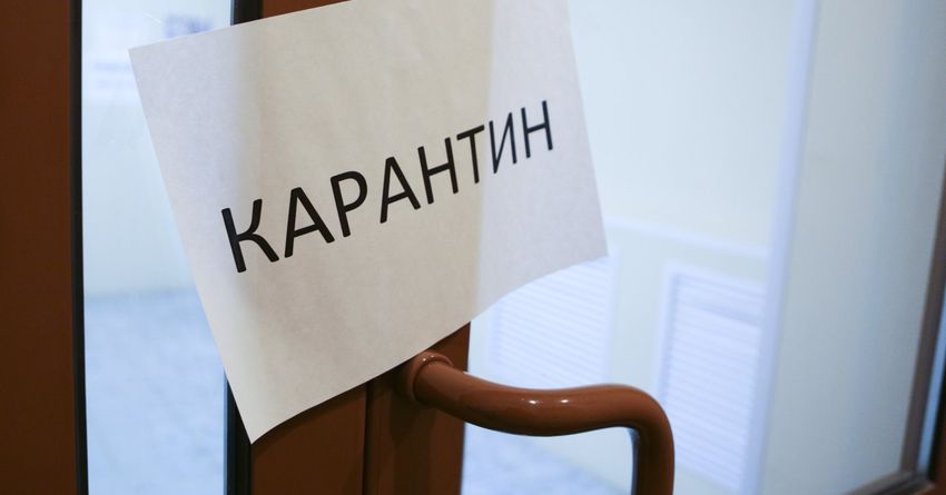Маршрутканын эшигин кантип ачат эле? Карантин учурундагы күлкүлүү окуялар