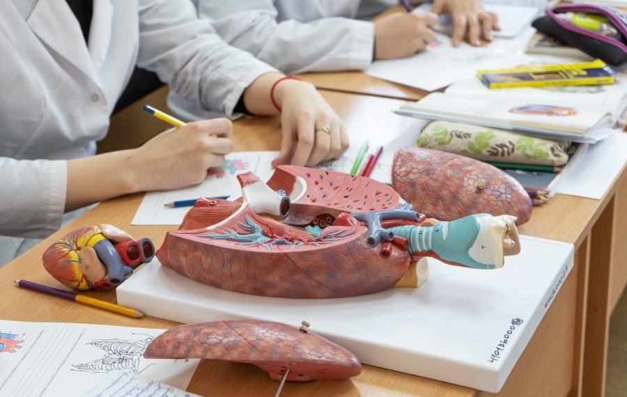 Иним 9-класстын базасы менен медициналык колледжге тапшыра алабы?