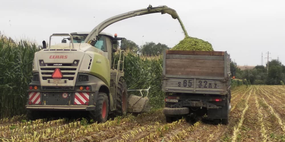 Кыргызстанда аналогу жок өзгөчө комбайны бар фермердин ийгилик сыры