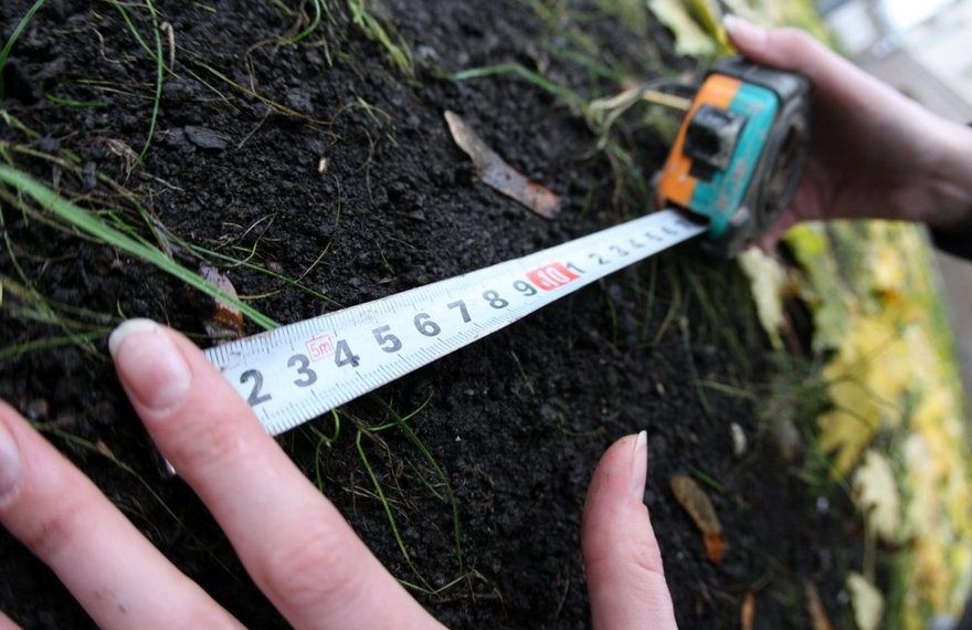 Кошуна эженин баласы апасы саткан жерди талашып жатат