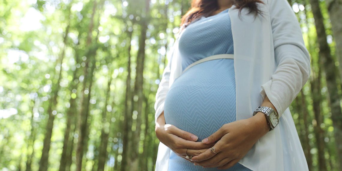 Төрөт үйүнө барсам