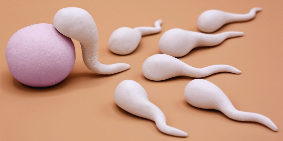 Балалуу болуу үчүн эркектин бел суусу канча пайыз болуш керек?