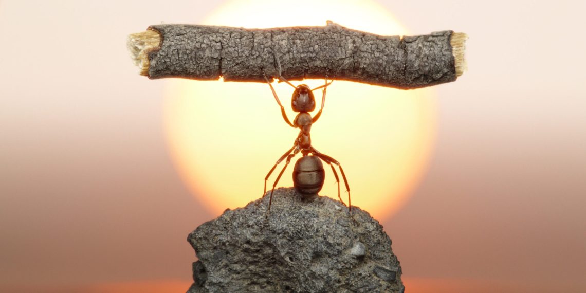 Жашоодогу кыйынчылыктарды кантип жеңсе болот? Психологдон 5 кеңеш