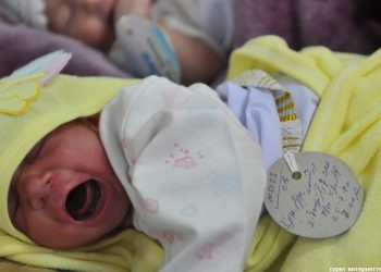 Туулгандыгы тууралуу күбөлүк кантип алса болот? Документтер