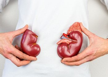 Өнөкөт пиелонефритке чалдыгып калдым. Эми канча жыл жашайм?