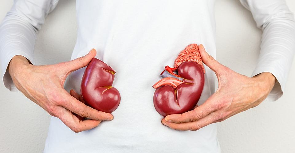 Өнөкөт пиелонефритке чалдыгып калдым. Эми канча жыл жашайм?