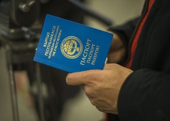 Чет өлкөлүк досум кыргыз жарандыгын кантип алса болот?