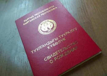 Баламдын туулгандыгы тууралуу күбөлүгүндө ката бар. Эмне кылсам болот?