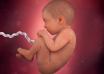 Ичимдеги баланын салмагы 1060 грамм экен. Айына жетпей төрөшүм керекпи?