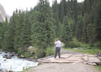 Коңшу айыл өкмөт жайыт талашып жатат. Сотко берсе болобу?