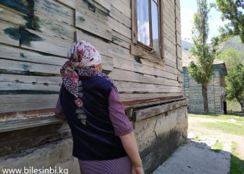 Аялым апама бакырып жатса унчукпай карап турдум