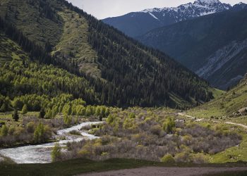 Тоолордон арча