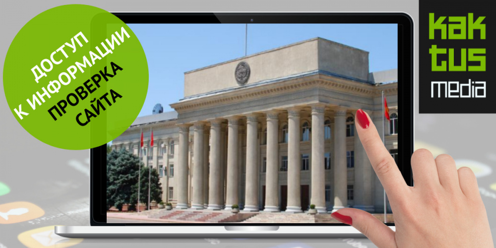 Маалыматка жеткиликтүүлүк. Өкмөттүн сайтын анализдөө